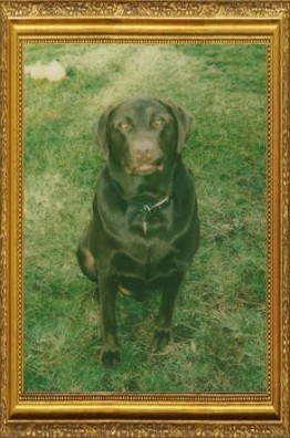 Chief Schellman 2005-2017